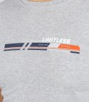 Męski t-shirt koszulka krótki rękaw ze sportowym nadrukiem (Szary) 3XL