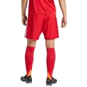 Spodenki adidas Tastigo 25 M JN7157