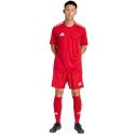Spodenki adidas Tastigo 25 M JN7157