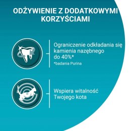PURINA One Bifensis Adult Bogata w Kurczaka i Pełne Ziarna - sucha karma dla kota - 800 g