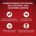 PURINA One Mini Adult Wołowina, ryż - sucha karma dla psa - 800 g