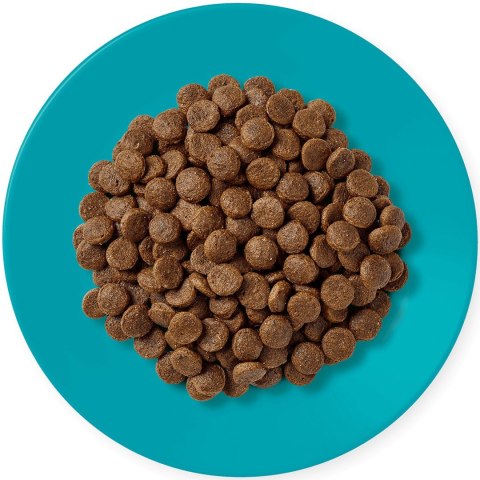 Applaws Cat Dry Adult Ocean Fish with Salmon 1.8kg Applaws Cat Dry Adult Ocean Fish with Salmon 1.8kg