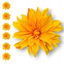 6x DALIA GŁÓWKA WYROBOWA DALIE SZTUCZNE KWIATY GŁÓWKI STROIK WIANEK