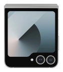 Samsung Galaxy Z Flip 6 (F741B) DS 5G 12/256GB Silver Shadow
