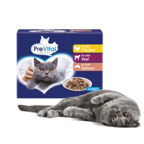 PREVITAL- Z kurczakiem, cielęciną i łososiem w sosie - Pełnoporcjowa karma dla kotów 12x100g