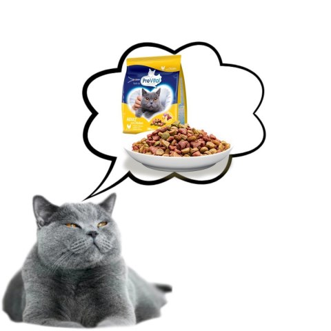 PREVITAL kurczak karma sucha dla kotów 300g PREVITAL kurczak karma sucha dla kotów 300g