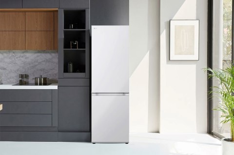 Lodówka LG GBV21L0ESW