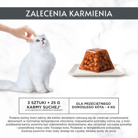 PURINA GOURMET REVELATIONS Łosoś w galaretce 2X57g PURINA GOURMET REVELATIONS Łosoś w galaretce 2X57g