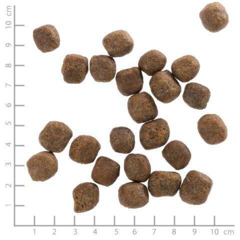 WOLFSBLUT Cold River Adult trout/sweet pota. 12,5kg WOLFSBLUT Cold River Adult trout/sweet pota. 12,5kg