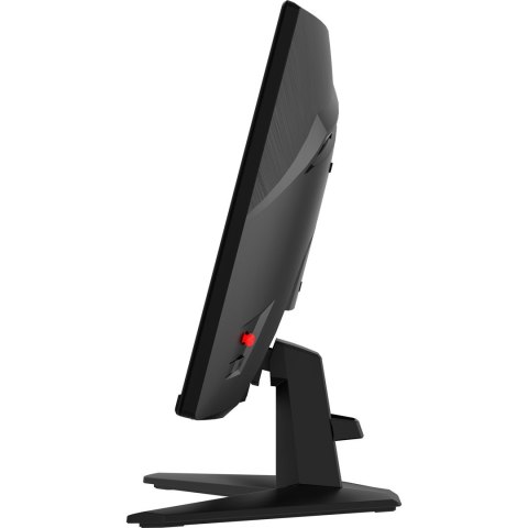 Monitor MAG 242C Monitor MAG 242C