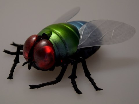 Duża realistyczna mucha zdalnie sterowana mucha na pilota chodzi RC0623