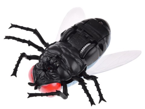 Duża realistyczna mucha zdalnie sterowana mucha na pilota chodzi RC0623
