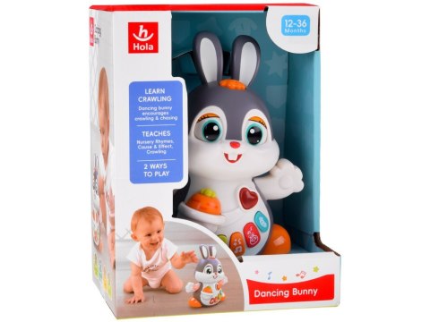 Interaktywny Tańczący Królik zabawka do raczkowania dla dziecka ZA5071