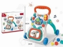 Pchacz Centrum aktywności