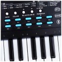 MQ 605 UFB KEYBOARD - Organy z mikrofonem dla dzieci do nauki gry