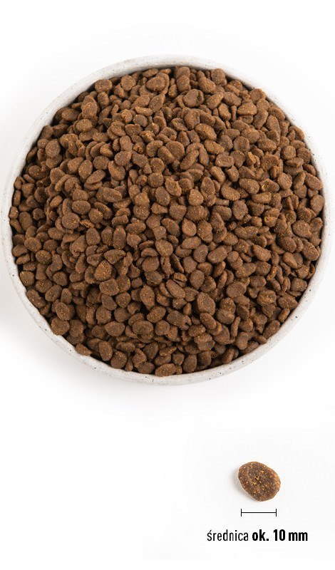 ORIJEN Cat 6 Ryb 5,4kg