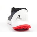 Buty Salomon Sense Flow M 409672 GTX