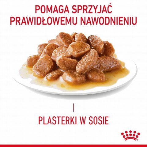 Karma Royal Canin Intense Beauty w sosie 12x85G Karma Royal Canin Intense Beauty w sosie 12x85G