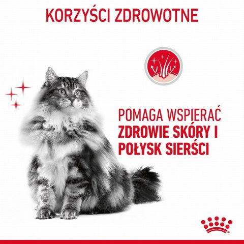 Karma Royal Canin Intense Beauty w sosie 12x85G Karma Royal Canin Intense Beauty w sosie 12x85G