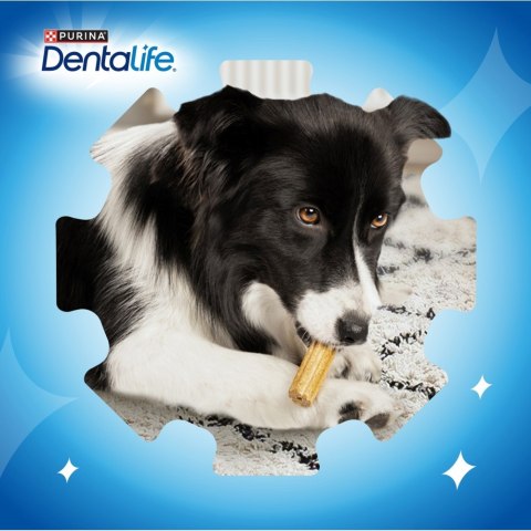 PURINA Dentalife Extra Mini - przekąska dentystyczna dla psa - 69 g PURINA Dentalife Extra Mini - przekąska dentystyczna dla psa - 69 g