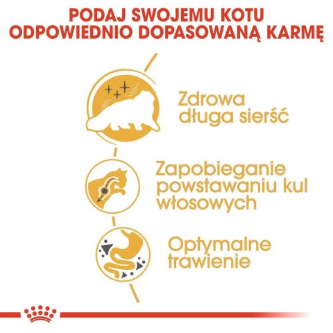 ROYAL CANIN Persian Adult - karma dla kota rasy pers - 2kg ROYAL CANIN Persian Adult - karma dla kota rasy pers - 2kg
