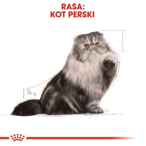 ROYAL CANIN Persian Adult - karma dla kota rasy pers - 2kg ROYAL CANIN Persian Adult - karma dla kota rasy pers - 2kg
