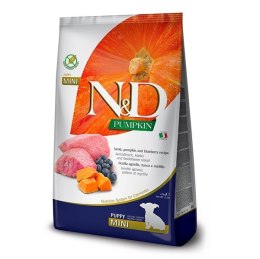 FARMINA N&D DOG PUMPKIN LAMB & BLUEBERRY PUPPY MINI 100gr