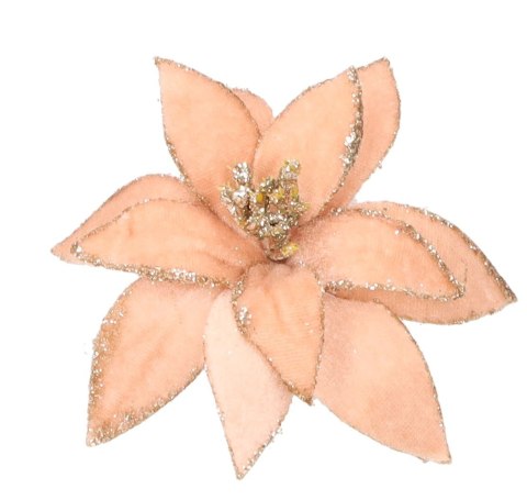 Gwiazda betlejemska na klipsie śr. 13cm