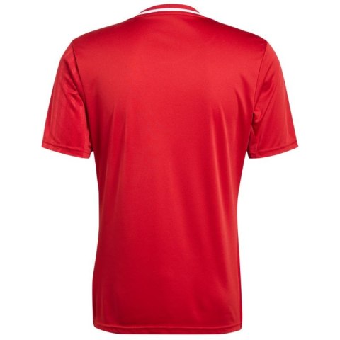 Koszulka adidas Campeon 25 Jersey M JF6058