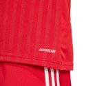 Koszulka adidas Campeon 25 Jersey M JF6058