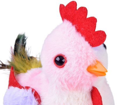 Dreptająca KURA Grażyna kukuryku! - pieje i macha skrzydłami ZA6018