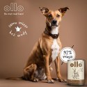 Ollo Pure Jeleń 850g